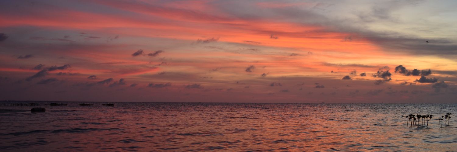 fsryh's profile banner image