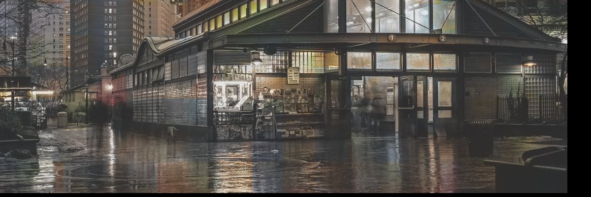 birdstream's profile banner image