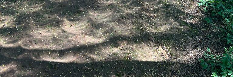 Mahtob1091's profile banner image