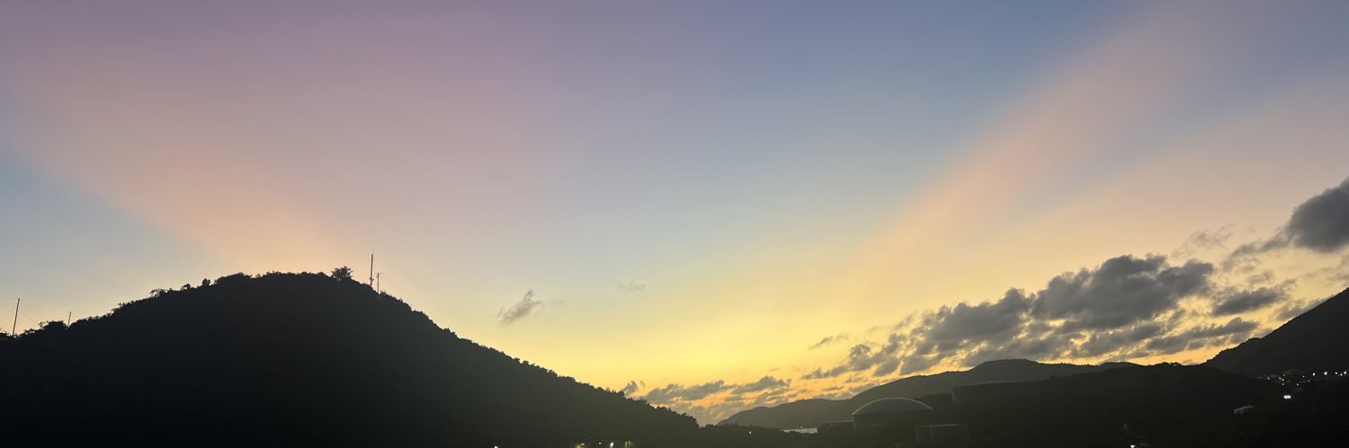 Caitlyn Rodgers banner