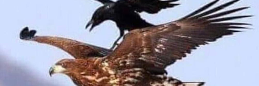 MsKintuyi's profile banner image