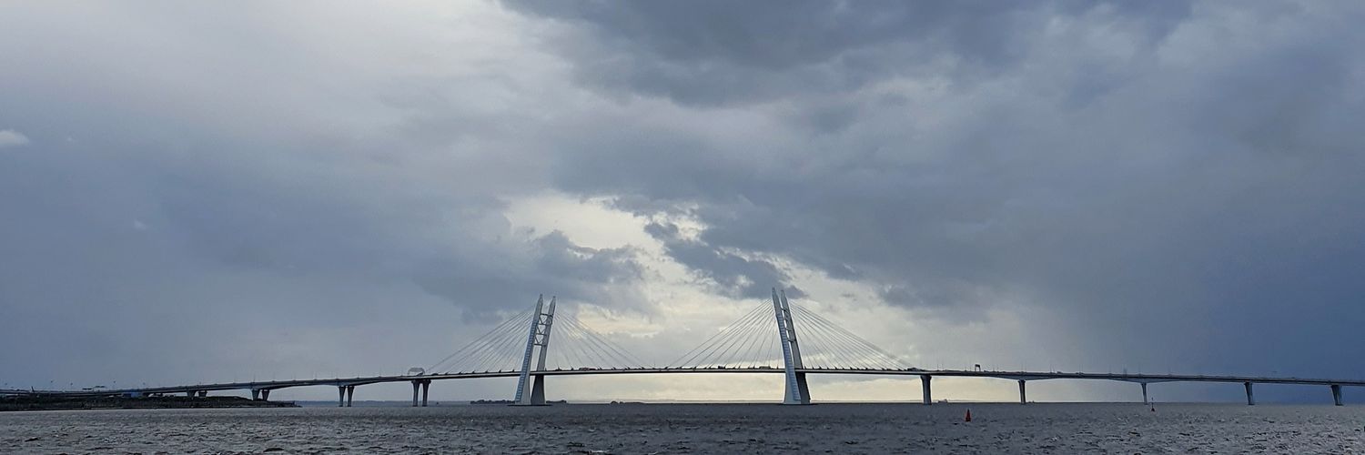 LidaVoronich's profile banner image