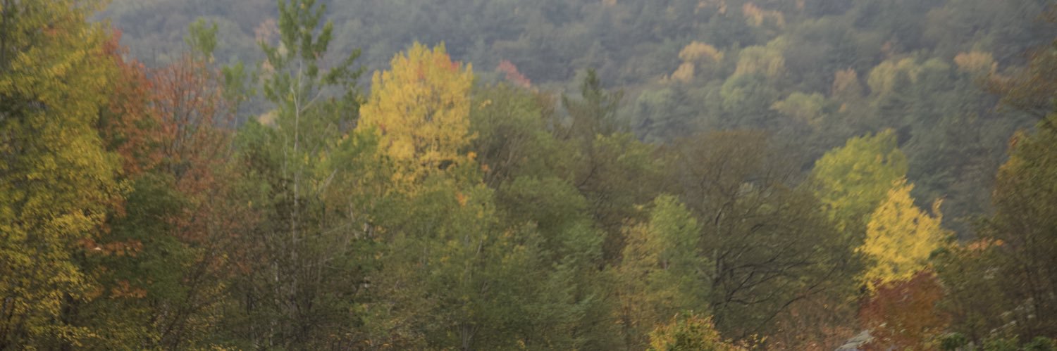 JonSperling's profile banner image