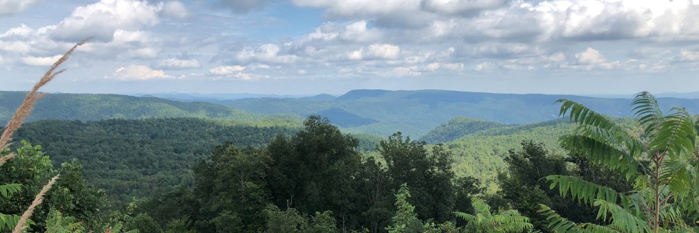 Brad Dennison banner