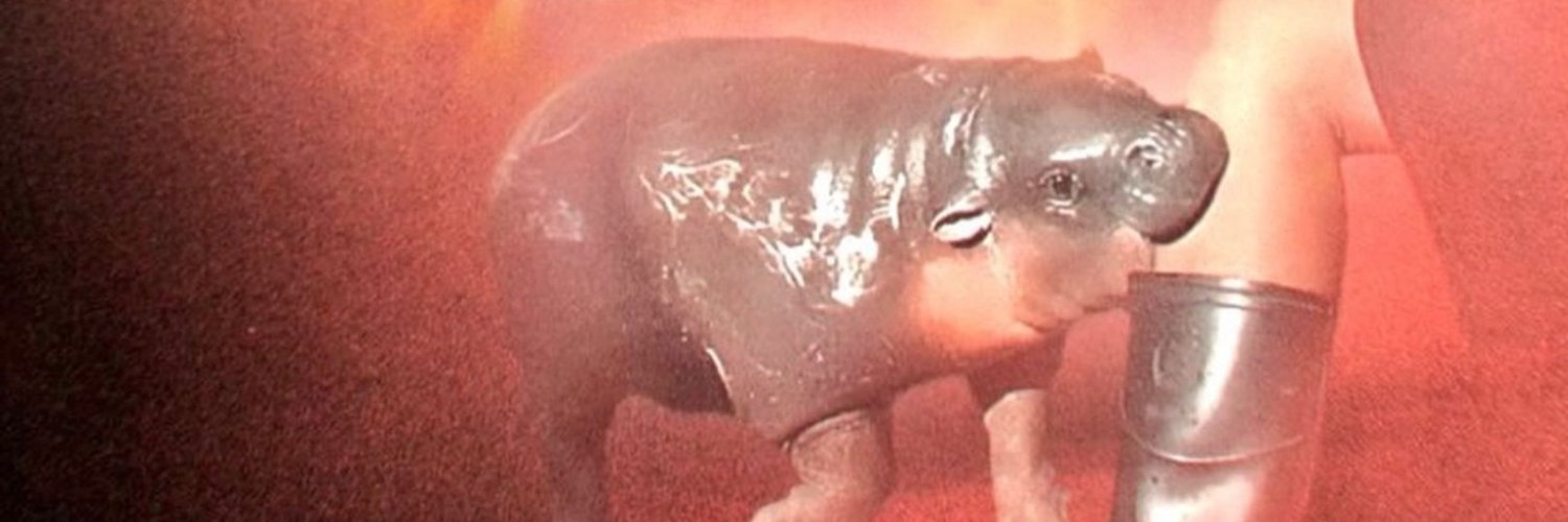 pasdasfas's profile banner image