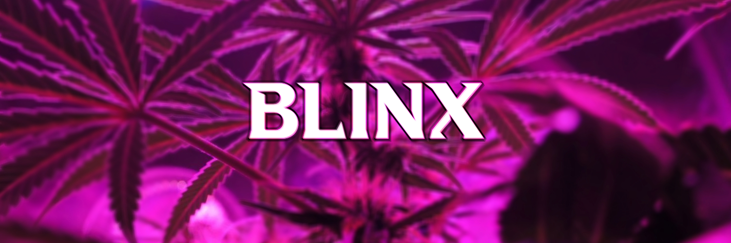 Blinxyboy's profile banner image
