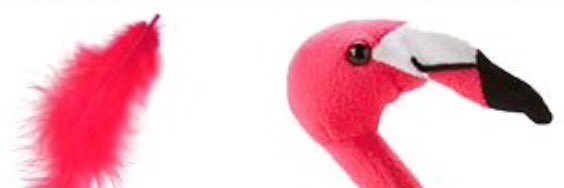 rcjonz's profile banner image