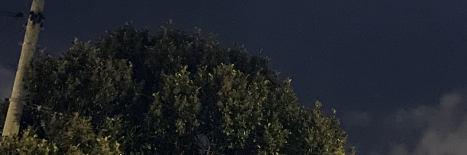 WesleyMaria01's profile banner image