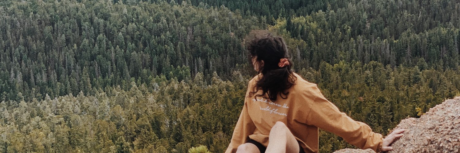 peytonhamlin0's profile banner image