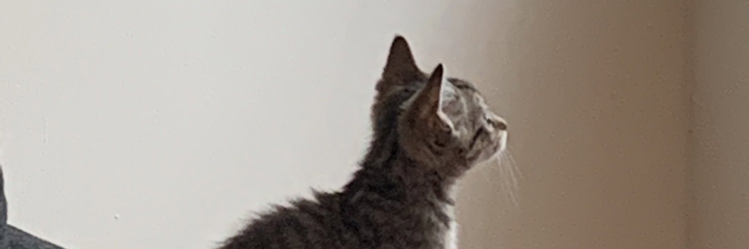 Victietory's profile banner image
