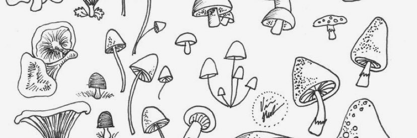 manda13__'s profile banner image