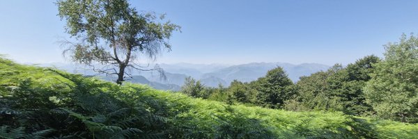 rajules Profile Banner