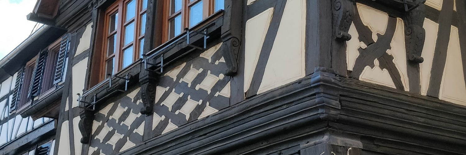 Nelbrok's profile banner image