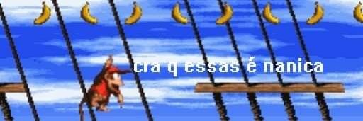 eudrdao's profile banner image