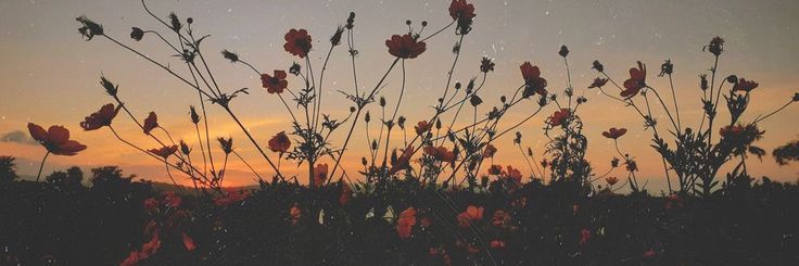TheDesiEdge's profile banner image