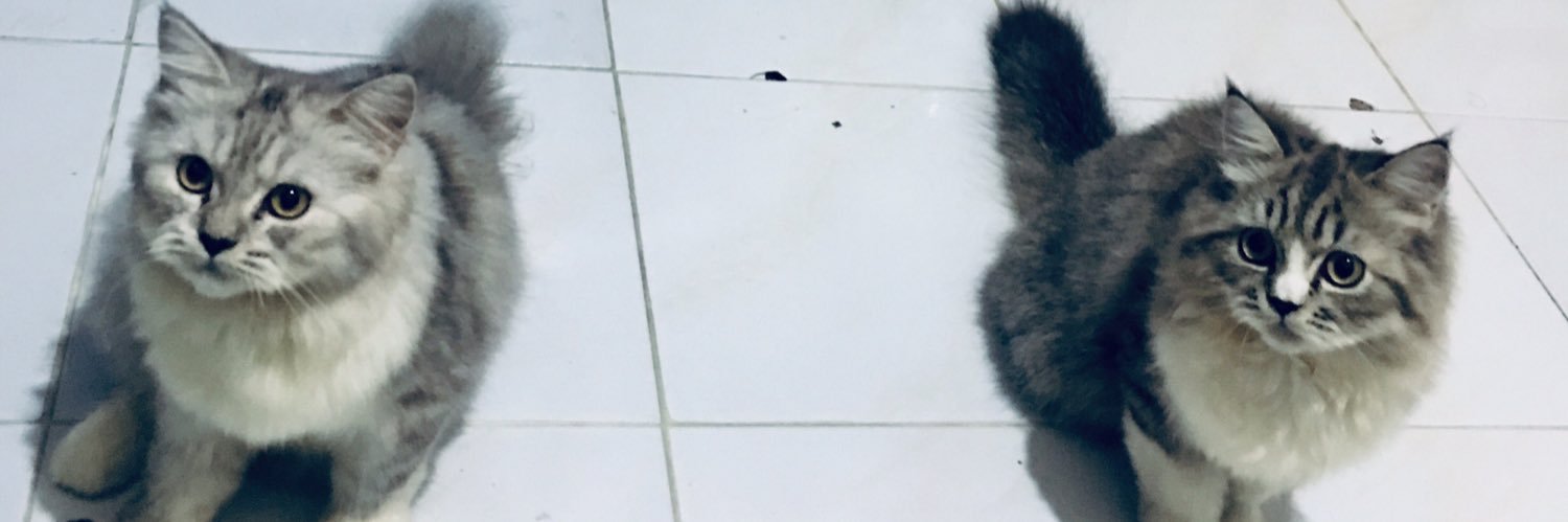 Anak Sholeh banner