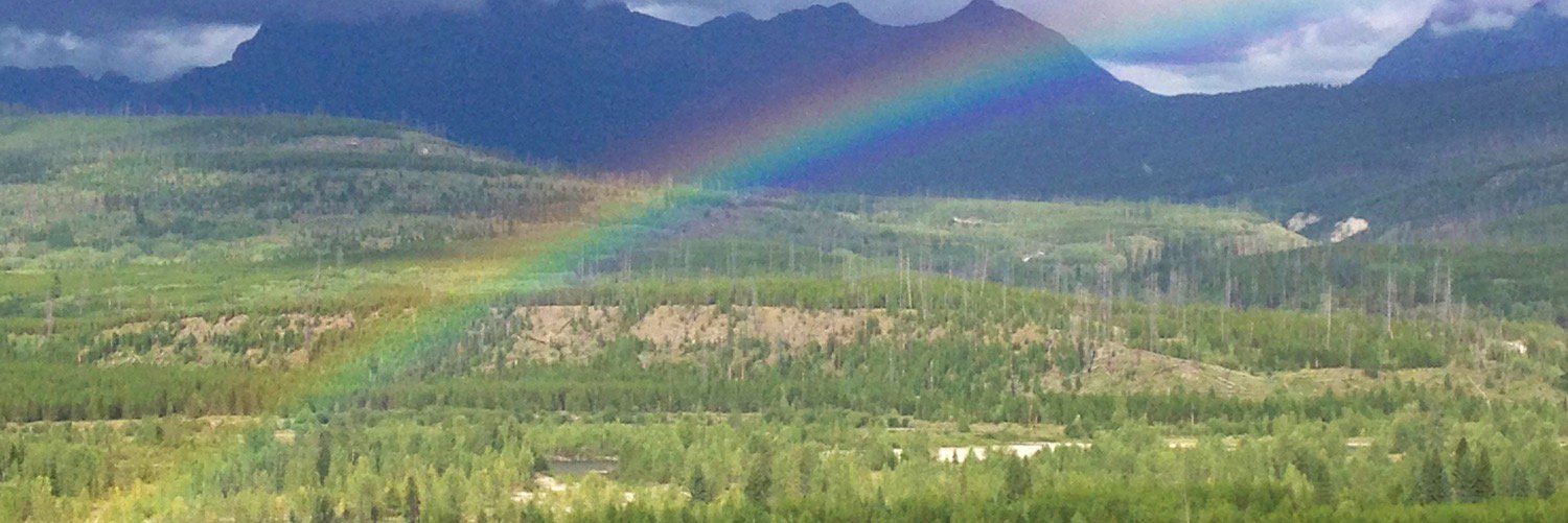 Jennifer Brown☀️ banner