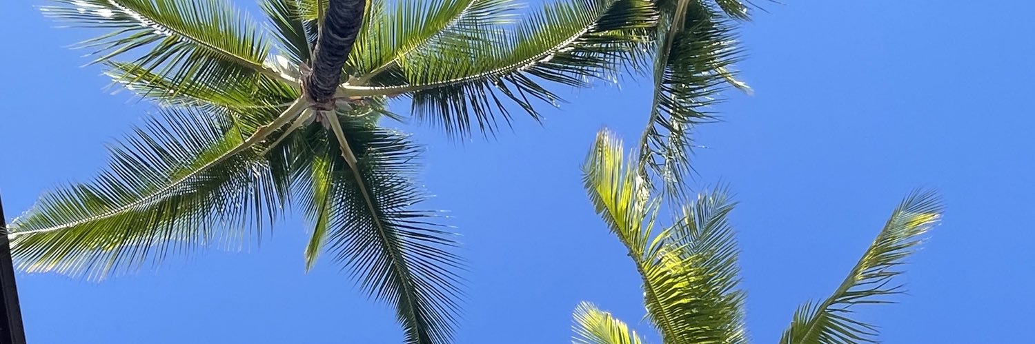 alecmorris_5's profile banner image