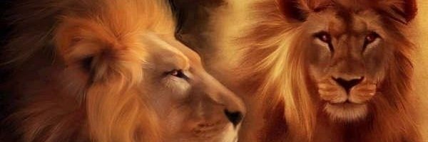 luisperez196's profile banner image