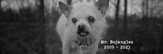 Mr_B_Bojangles's profile banner image