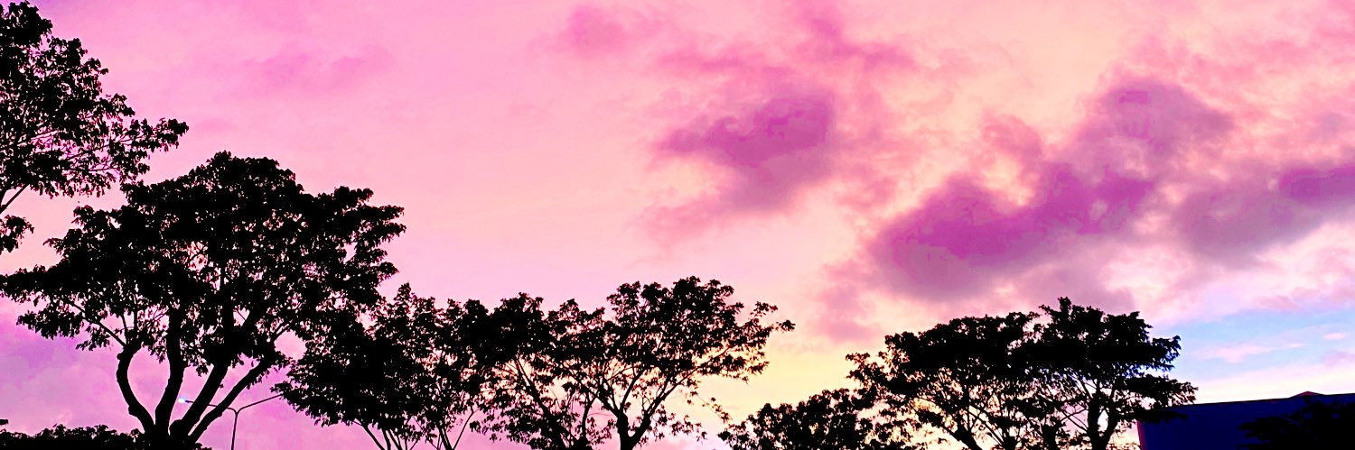 erizammv's profile banner image