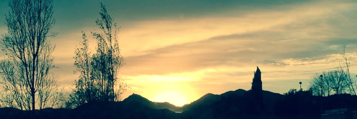 El Azote de los Carpatos! banner