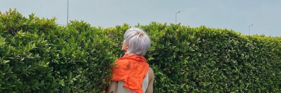 sallyvun's profile banner image