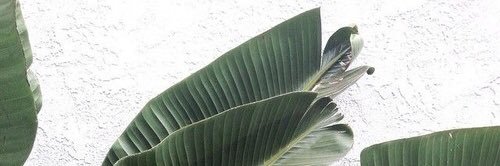 lauraparentt's profile banner image