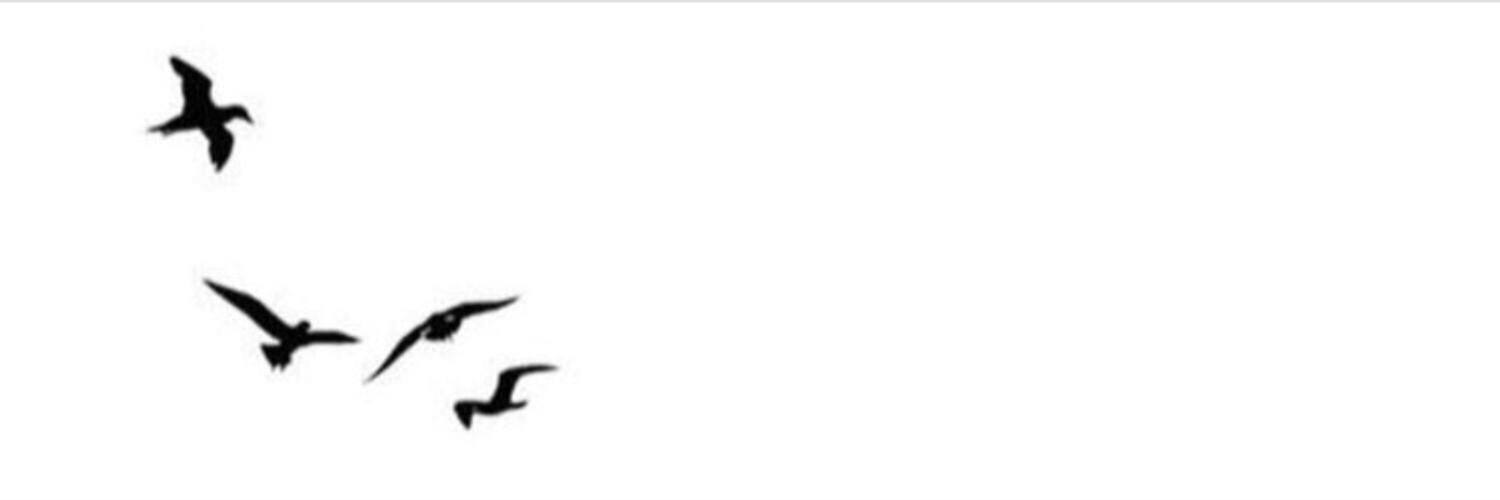 priness_o's profile banner image