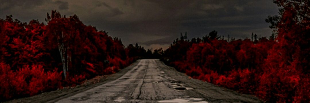 burnn_k's profile banner image