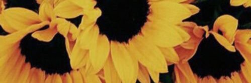 _beckyellis's profile banner image