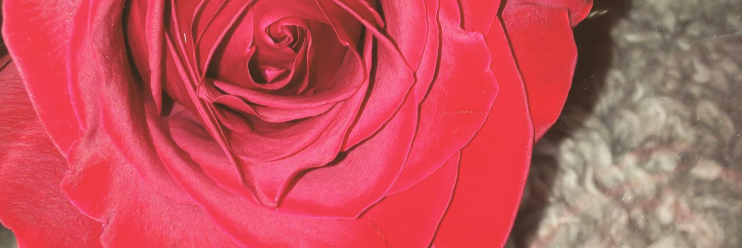 jlenab_'s profile banner image