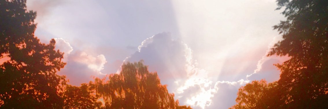 Sarah__Cookies's profile banner image