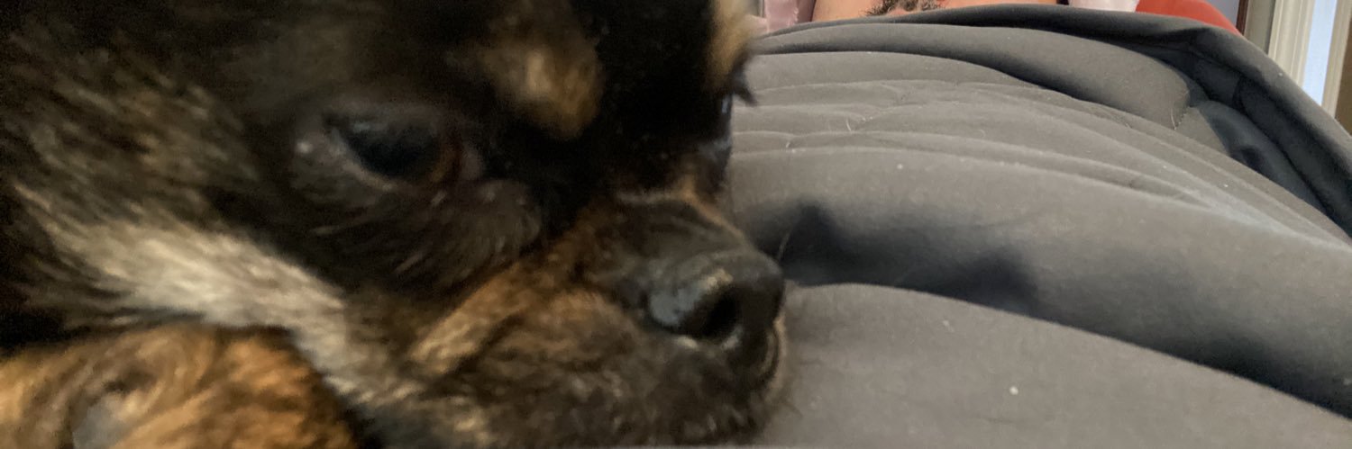 SpartyinKC's profile banner image