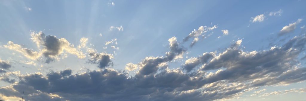 下本ちひろ🐕🍣 banner