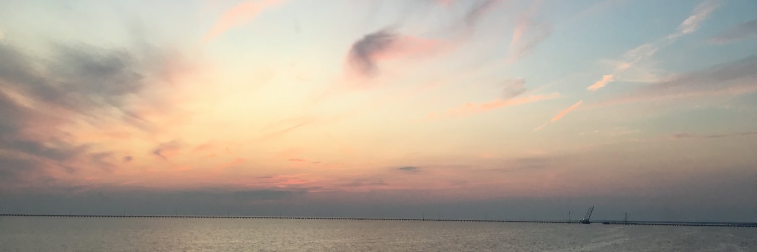 Haley Hynes banner