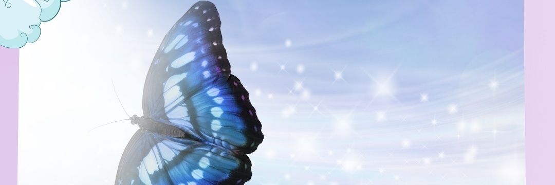 noeparedesok's profile banner image