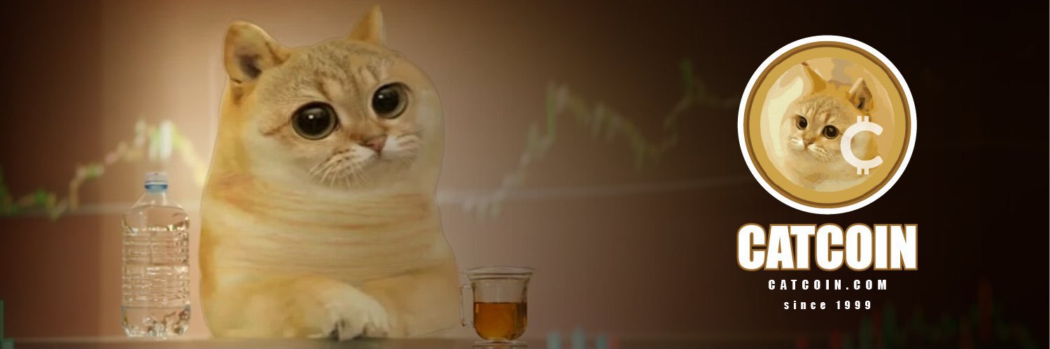 catcoinsolution's profile banner image