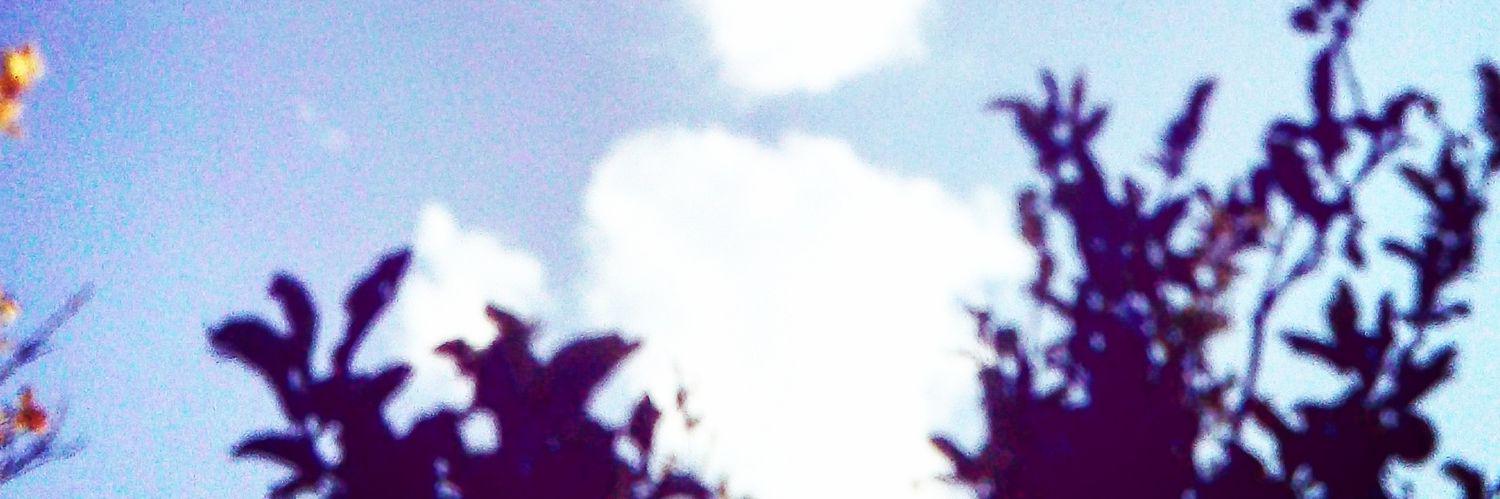 burcukaraks's profile banner image