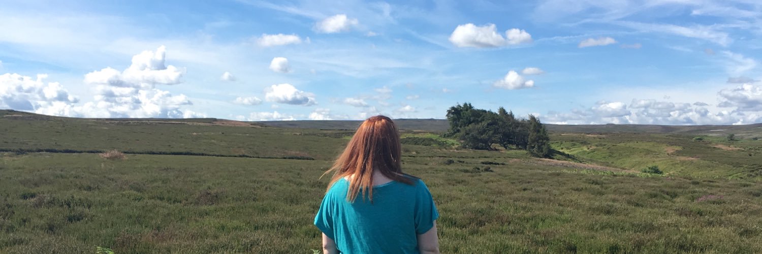 Amyyyywalker's profile banner image