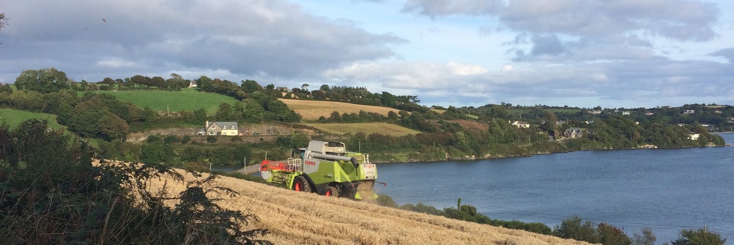 markdptreacy's profile banner image