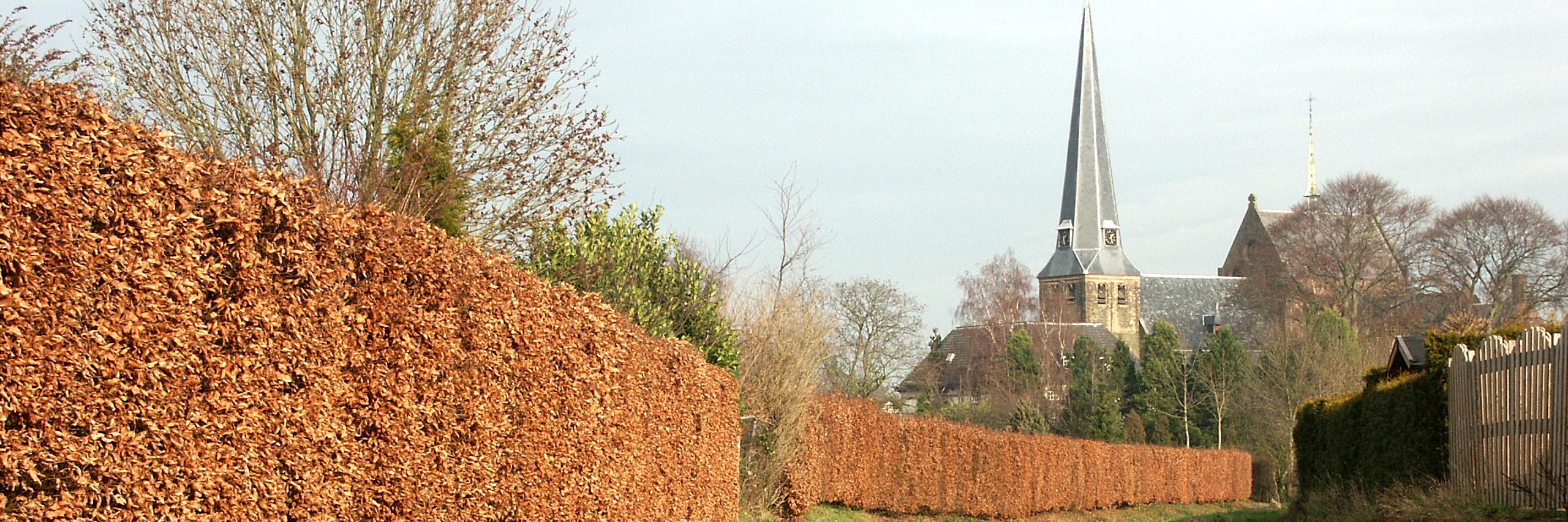 dasgroessen's profile banner image