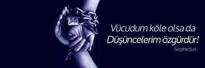 NMuzafferoglu's profile banner image