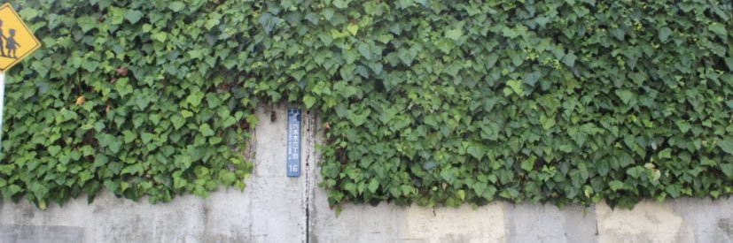 s_m22s's profile banner image