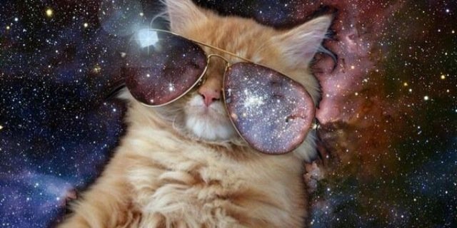 sarahthee's profile banner image