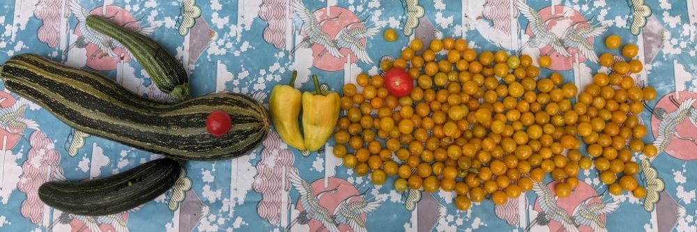 Roland Schmidt banner