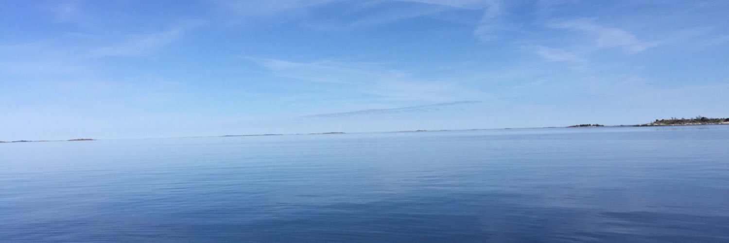markusgoras's profile banner image
