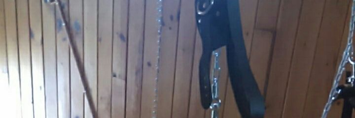 PupMidnight's profile banner image