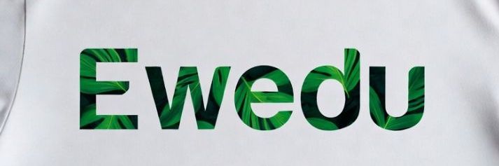 P-Dave🛡️ banner