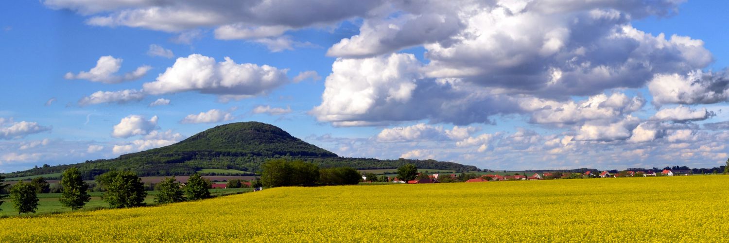 Lopez Gonzales banner